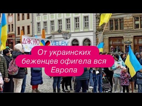 Скандал с украинскими беженками у немецкого врача в Германии. #новости #беженцыизукраины