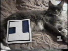 раритет!!!!!! Редчайшая заставка с котом (Первый канал Останкино, 1994)