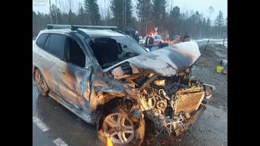 ТОРОПЫГИ АПРЕЛЬ 2020г.