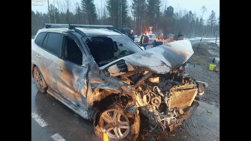 ТОРОПЫГИ АПРЕЛЬ 2020г.