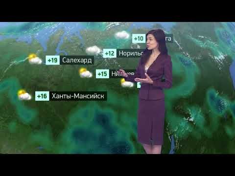 Погода в России на 11.09.2023 пн.