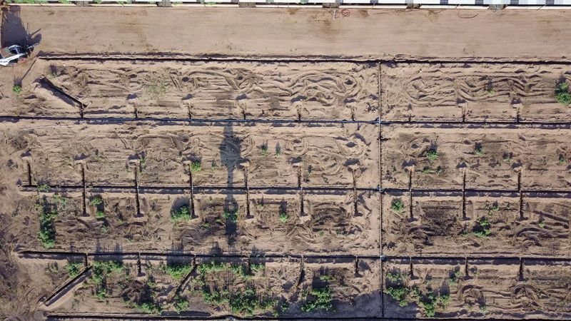 First Drone Footage   Irrigation Project