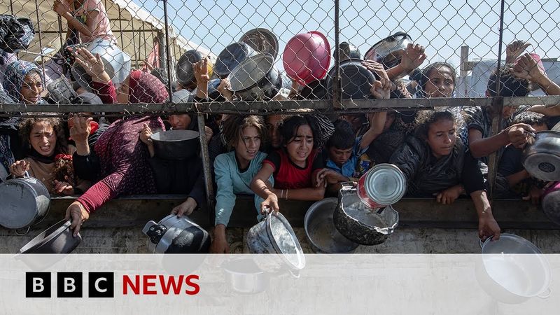 People in Gaza subjected to forced starvation, says top UN official | BBC News