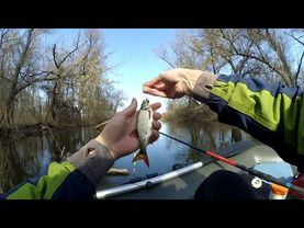 Поплавок в начале марта I рыбалка в протоках Днепра