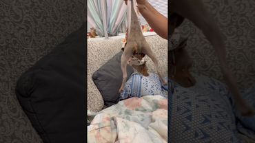 8 ноября 2025 г.