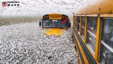 Incredible Moments Caught on Camera #187 - Best Of Month