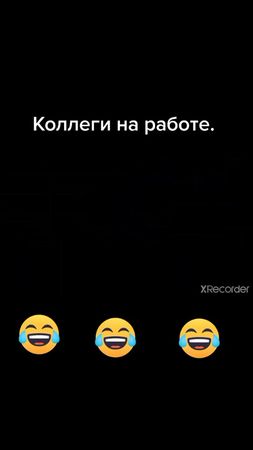 На работе. #работа #поведени #репортаж #смешно #животные
