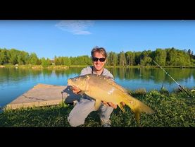 Алискино - Новый Курорт в Подмосковье! Рыбалка на Карпа. День Рождения Дочери