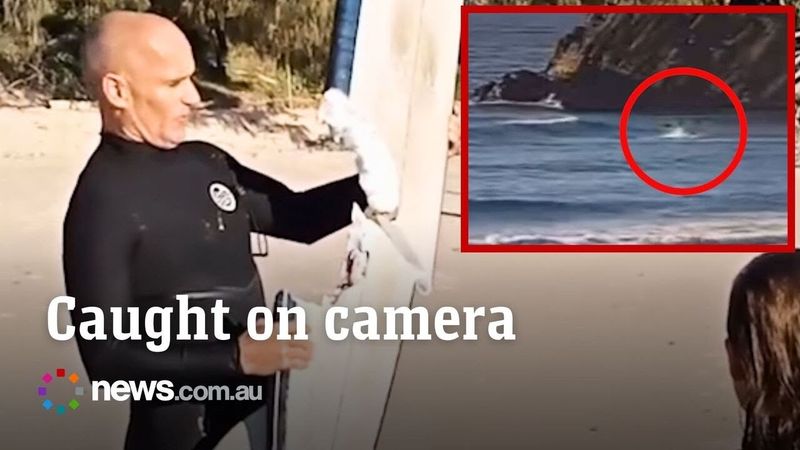 Shark bites Aussie surfer's board in half