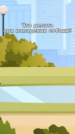 Что делать при нападении собак #суперантоша #животные #собака #собаки...