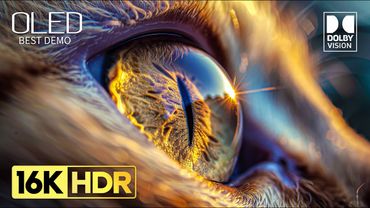 BEST HDR Video - Amazing Dolby Vision HDR 16K 120 fps Video