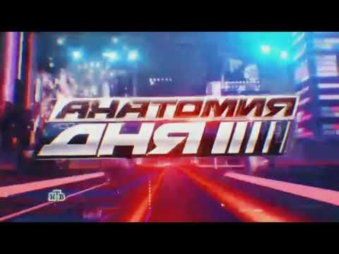 Новогодняя заставка программы "Анатомия дня" (НТВ, 2015)