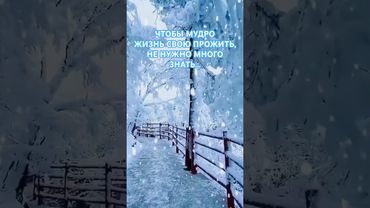 Чтобы мудро жизнь свою прожить… #мышление #любовь#мудрость#motivation#цитаты#успех#жизнь#философия