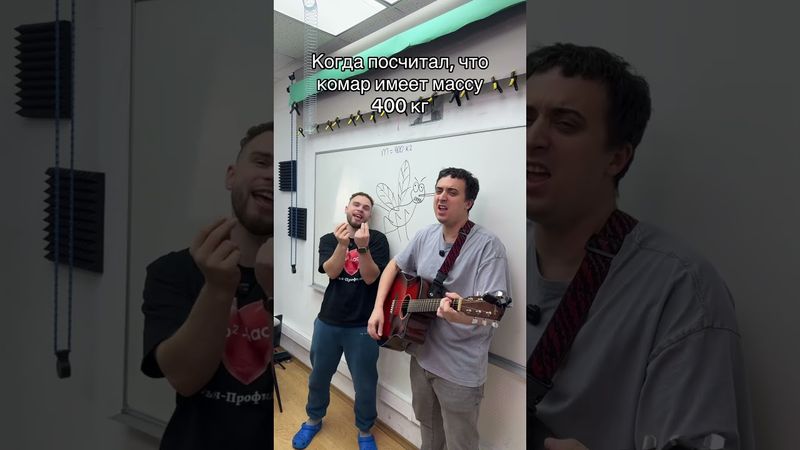 Когда посчитал, что комар имеет массу 400 кг