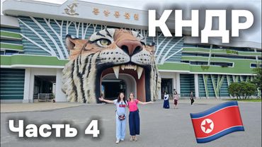 DPRK: Zoo and Hedonism on the Verge of Eroticism. I Didn't Want to Leave!