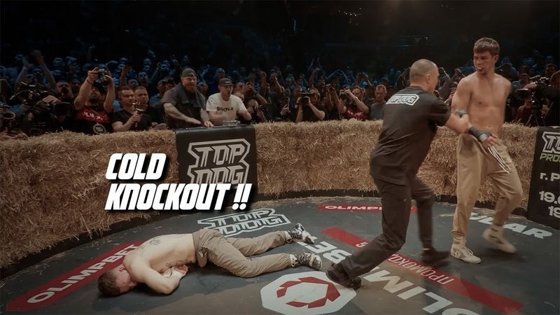 The MOST BRUTAL KO's and Fights in Bare-Knuckle Boxing TOP DOG 37 | (HIGHLIGHTS)