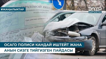 ОСАГО ПОЛИСИ КАНДАЙ ИШТЕЙТ ЖАНА АНЫН СИЗГЕ ТИЙГИЗГЕН ПАЙДАСЫ
