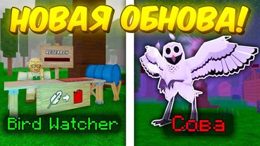 🔥 ПОЛНЫЙ ГАЙД НА НОВОЕ ОБНОВЛЕНИЕ! СОВА, МИНИ КВЕСТ, НОВЫЕ КЛАССЫ В 99 NIGHTS IN THE FOREST! 💥