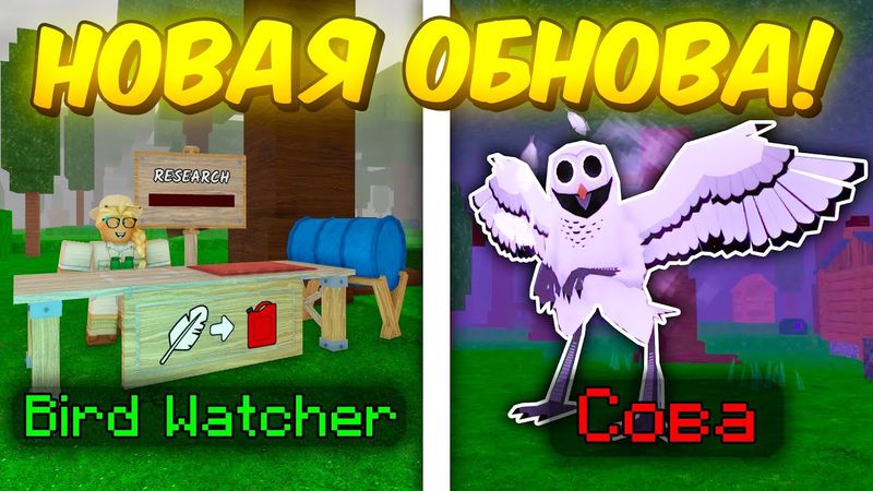 🔥 ПОЛНЫЙ ГАЙД НА НОВОЕ ОБНОВЛЕНИЕ! СОВА, МИНИ КВЕСТ, НОВЫЕ КЛАССЫ В 99 NIGHTS IN THE FOREST! 💥