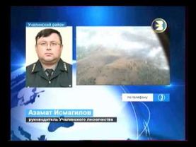 19.10.2012 БСТ лесной пожар в Учалинском районе.wmv