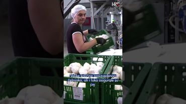 Domaći češnjak umjesto uvoznog