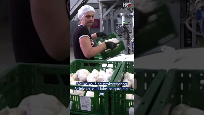 Domaći češnjak umjesto uvoznog