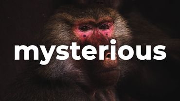 ⚗️ Mysterious Dark Piano (Music For Videos) - "Shattered Glass" by Cjbeards 🇺🇸