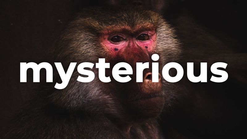 ⚗️ Mysterious Dark Piano (Music For Videos) - "Shattered Glass" by Cjbeards 🇺🇸