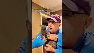 Cats love to chat🥰❤️#cat #cutecat #lovecat #fuoryou #fyp #catsoftiktok #loveyou #kitty