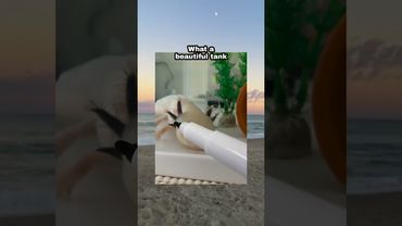 Even his eyes looks drawn on #cute #animals #funny #shorts