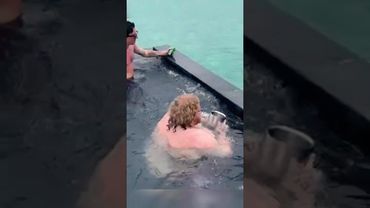 НА МАЛЬДИВАХ 😂 #t2x2 #реакция #юмор #история #мем