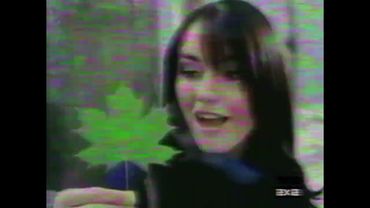 Фрагменты эфиров 2х2 Мелонград (январь — февраль 2009)