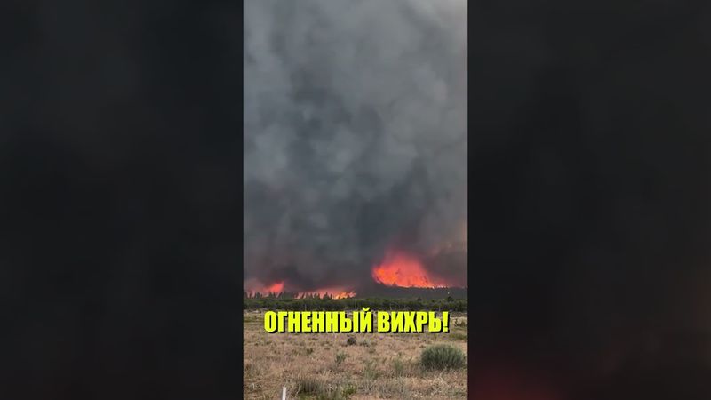 Лесной пожар в США вышел из-под контроля