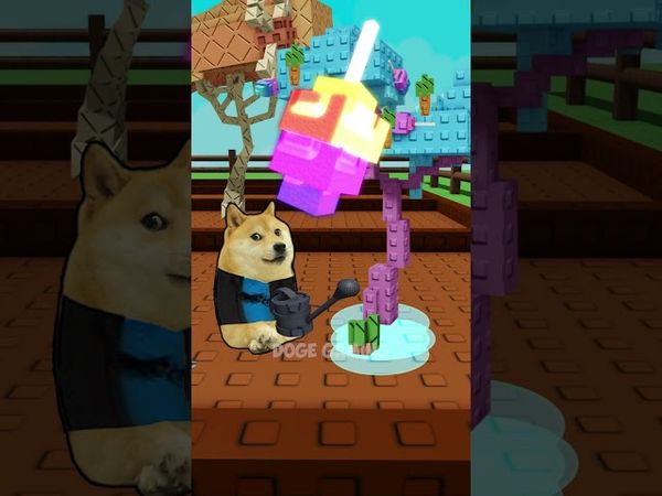 tiny Raccoon belike 🦝🦝| Doge Gaming