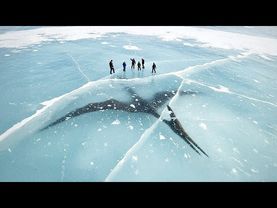 Обнаружено гигантское существо в ледяной толще и другие невероятные доисторические находки