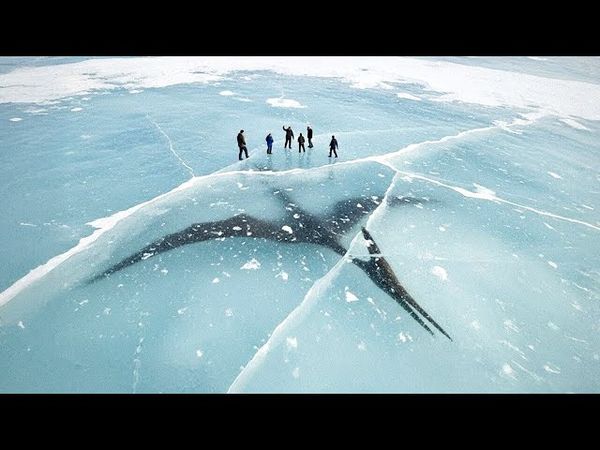Обнаружено гигантское существо в ледяной толще и другие невероятные доисторические находки