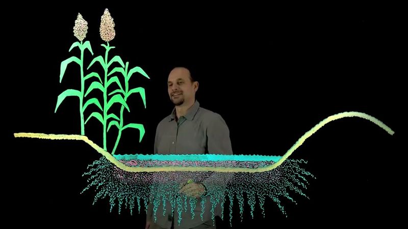 Как в Африке превращают пустыни в зеленые луга? Удивительные проекты озеленения! #африка