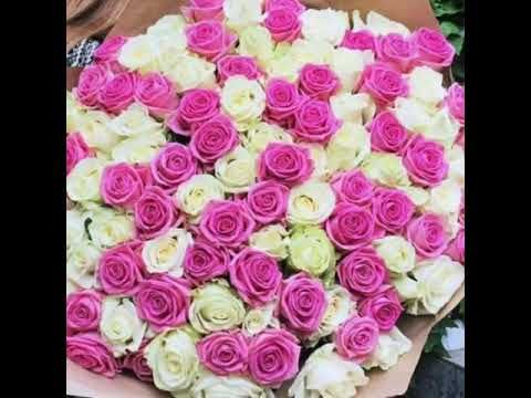 С Днём рождения,внучка!!!