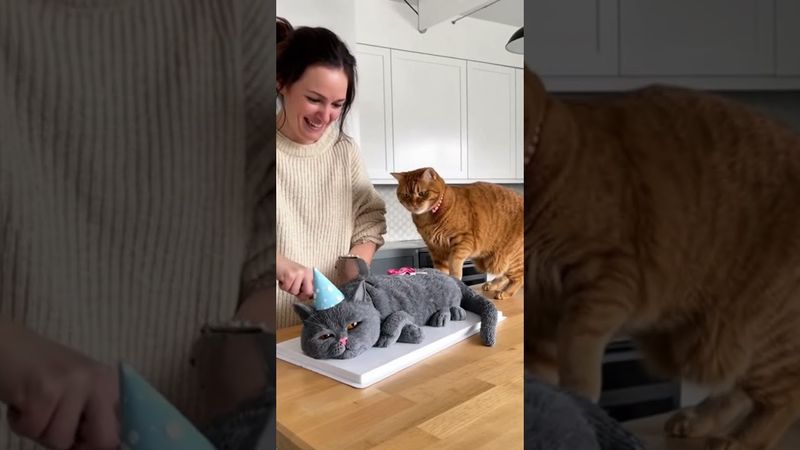 🤣She Cuts a Cat Cake 🍰— and the Real Cat Freaks Out! | ‘Calma, é só bolo!😹   Real Cat Freaks Out! 🎬