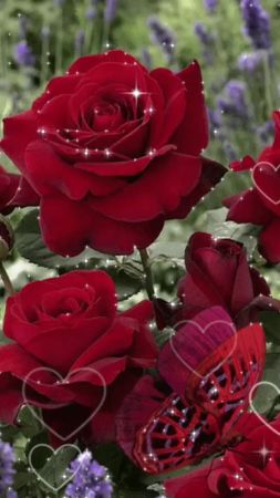 #сдобрымутромсновымднём🤗👋👋👋 #отличноговсемнастроения😍😘🤩