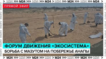 Дискуссию об экологической обстановке на побережье Анапы | Прямая трансляция - Москва 24