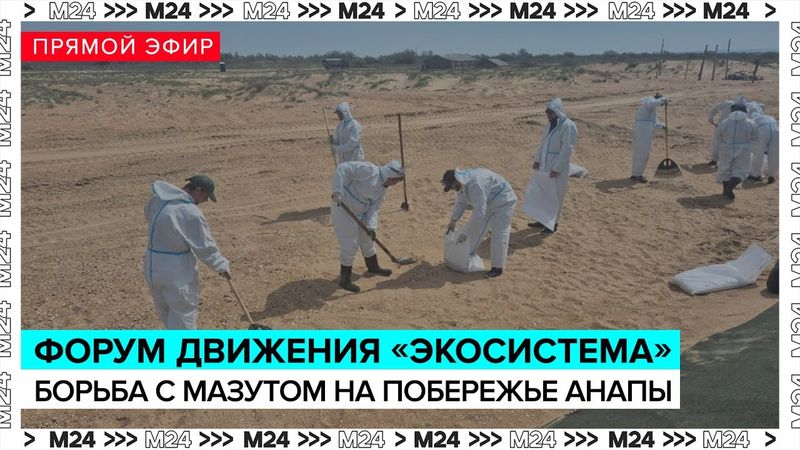 Дискуссию об экологической обстановке на побережье Анапы | Прямая трансляция - Москва 24