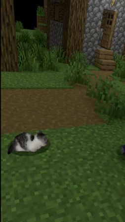 TikTok video #7563964492044930317