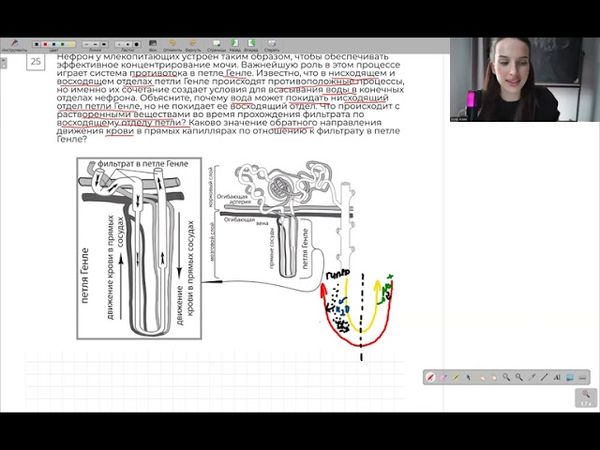 Реанимация. День 14 | тгк: biowithbear