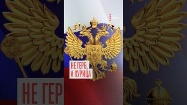 Бурятские силовики герб РФ назвали курицей