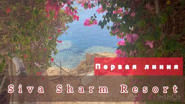 Свежий обзор SIVA SHARM RESOPT & SPA / Sharm El Sheikh 🇾🇪 Egypt / reef / территория, питание, пляж