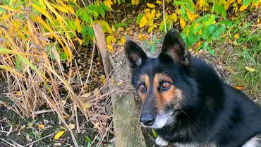 #Славянск. 24 октября 2025г. Вечер.