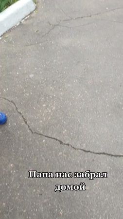 Домой#двойняшкидевочки🥰🥰 #выписка#двойня