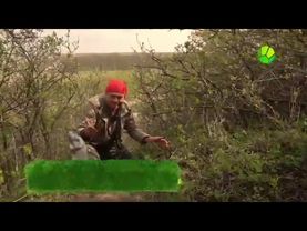 Фрагмент эфира (Живая планета, 21.08.2025)