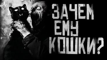ОНО БОИТСЯ КОШЕК?? Страшные истории на ночь. Страшилки на ночь.